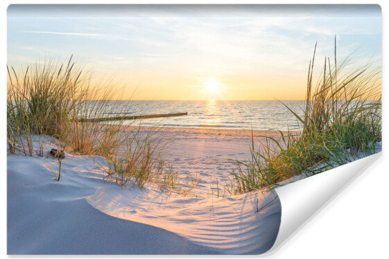 Fototapete Strand Meer Dünen Landschaft