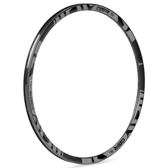 GTR SL20 FV Rim