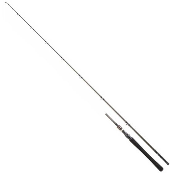 DAIWA Exceler 1+1 baitcasting rod