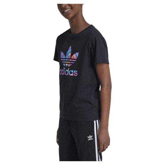 ADIDAS ORIGINALS Trefoil Graphic short sleeve T-shirt