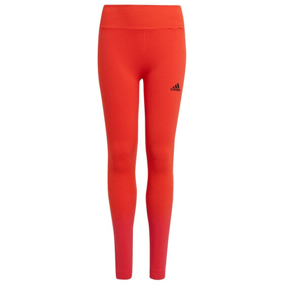 ADIDAS Aeroknit leggings