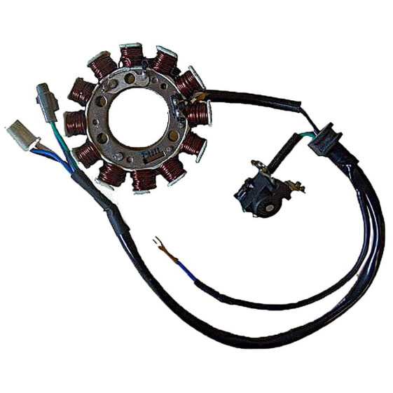 SGR Monofase 12 Poles Yamaha XT Stator