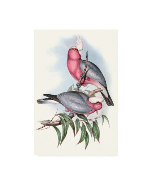 John Gould Pastel Parrots III Canvas Art - 20" x 25"
