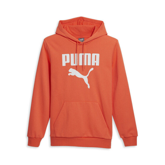 Худи мужская PUMA Framed Up оранжевая Casual 67807360