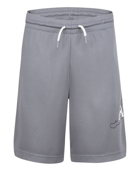 Big Boys Jumpman Big Air Mesh Shorts