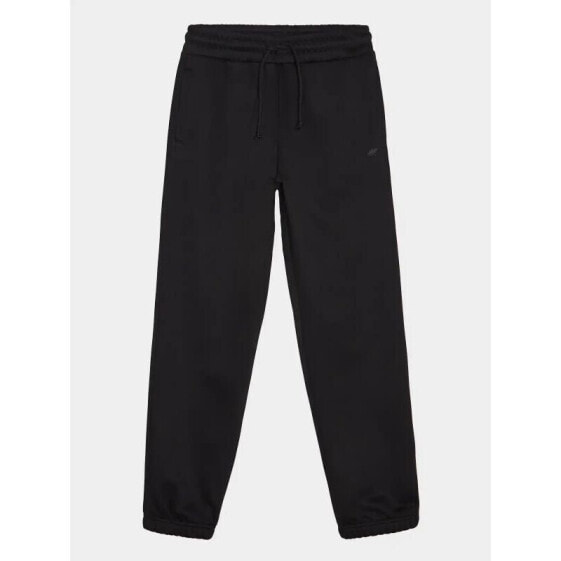 Trousers 4F W 4FWAW24TTROF0819-20S