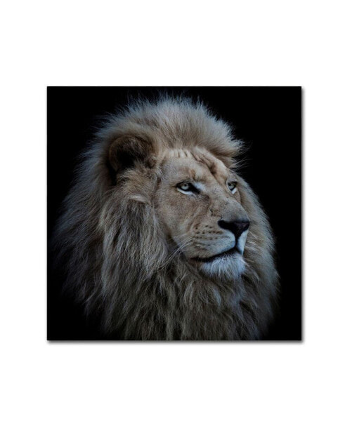 Louise Wolbers 'Proud Lion' Canvas Art - 24" x 24" x 2"