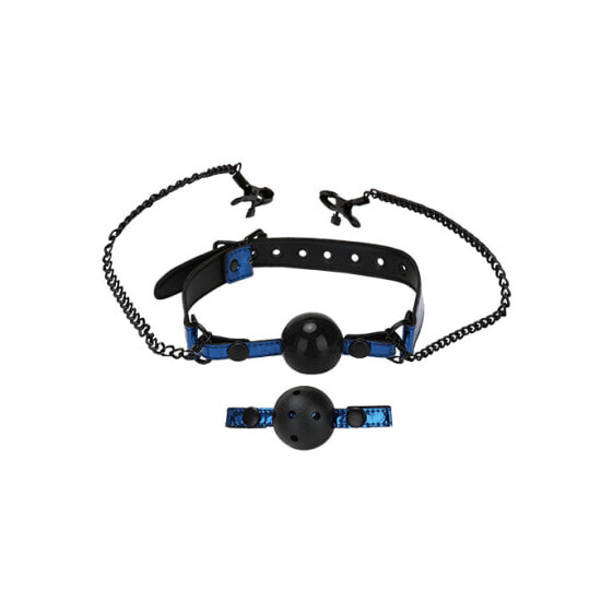 Ball Gag & Nipple Clips