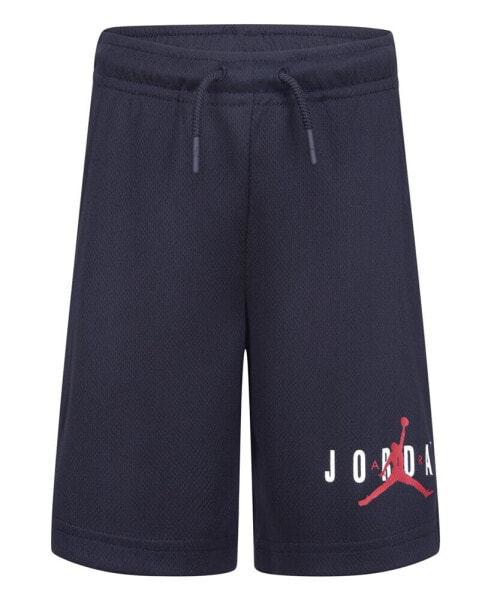 Шорты Jordan Essentials Graphic Mesh