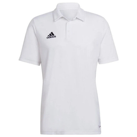 ADIDAS Entrada 22 short sleeve polo