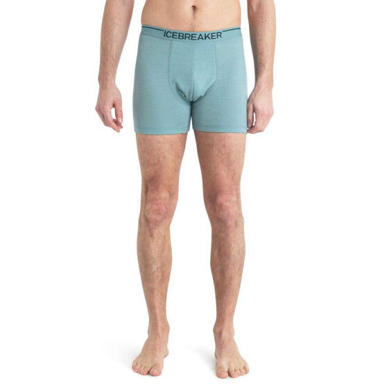 ICEBREAKER Anatomica Boxer