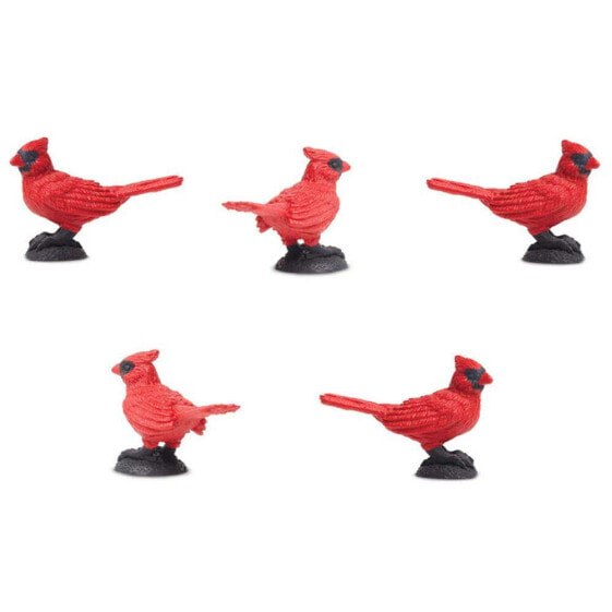 Фигурка Safari Ltd Cardinal Educational 192 Pieces Figure (Образовательный Кардинал 192 элемента)