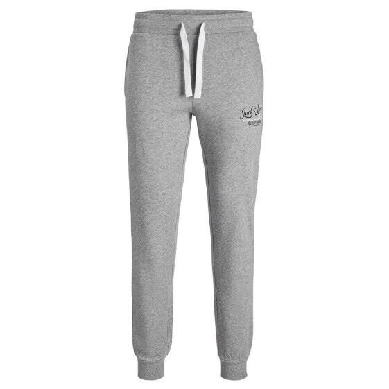 JACK & JONES Gordon sweat pants