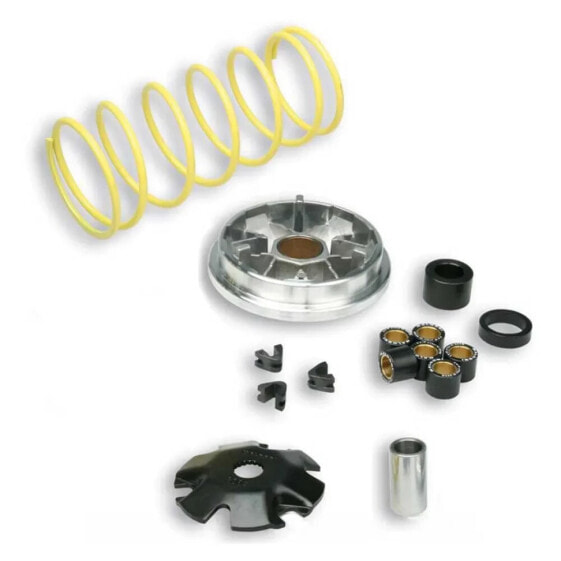 MALOSSI Multivar Vespa Zip 50 Variator Kit