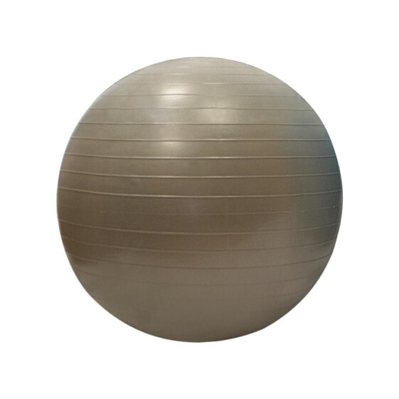 SPORTI FRANCE Gymball 55 cm