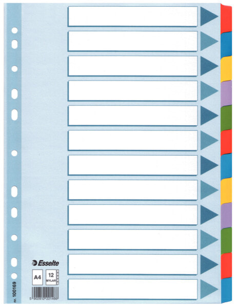 Esselte Leitz 100169 - Blank tab index - Cardboard - Multicolour - A4 - 160 g/m² - 297 mm
