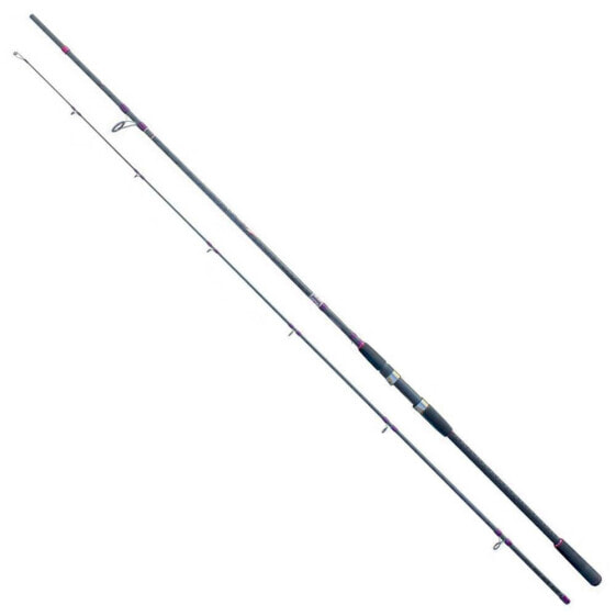 CINNETIC Explorer Black Sea Bass Spinning Rod