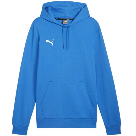 Спортивная толстовка PUMA Team Goal Casuals Hoody 658618 02