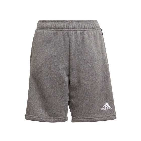 ADIDAS Tiro 21 Shorts
