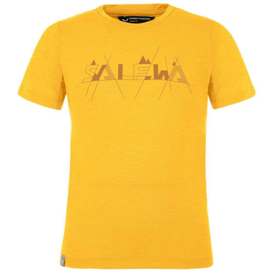 Футболка мужская Salewa Graphic Dry - Детская функциональная футболка на лето