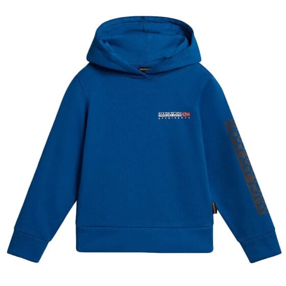 NAPAPIJRI B-Neutrinos hoodie