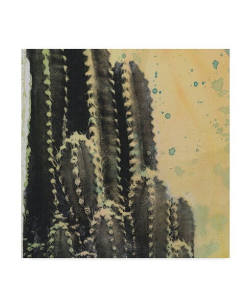 Naomi Mccavitt Desert Dreams IV Canvas Art - 20" x 25"