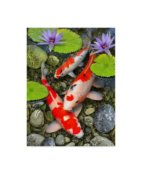 Howard Robinson 'Koi Under Lily Pads' Canvas Art - 24" x 18" x 2"