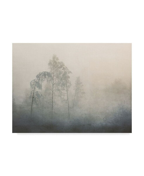 Asmund Kvarnstrom Tree Fog Canvas Art - 20" x 25"