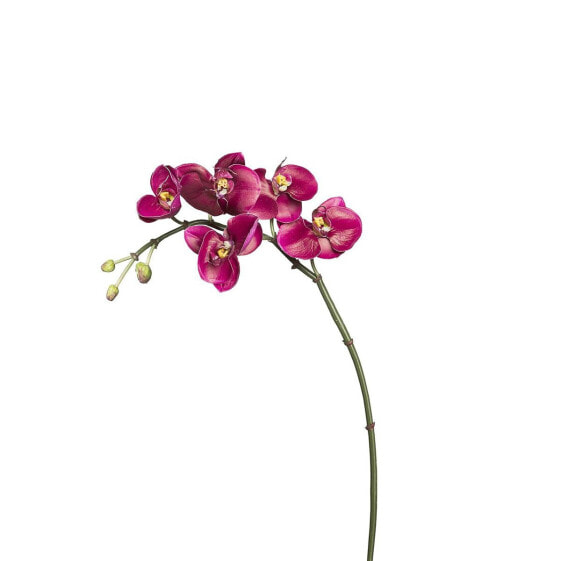 Искусственные цветы Sia Deco Orchidee Phalaenopsis Budy