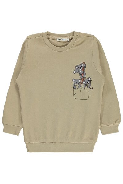 Erkek Çocuk Sweatshirt 2-5 Yaş Bej