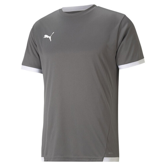 PUMA TeamLiga short sleeve T-shirt