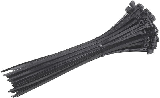 Champion 200 mm Long Cable Ties, Pack of 100, 7452550