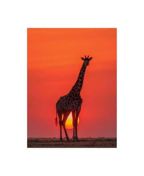 Henry Zhao Sunset Giraffe Canvas Art - 20" x 25"