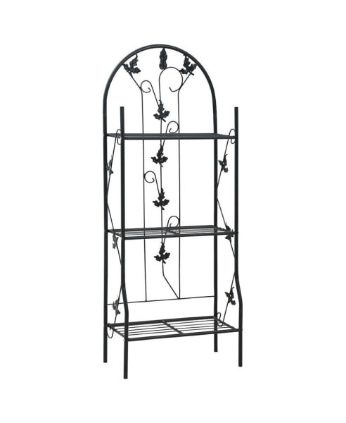 3-Layer Plant Rack Black 20.5"x11"x50.4" Iron