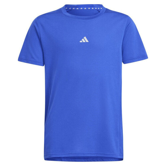 ADIDAS Aeroready short sleeve T-shirt