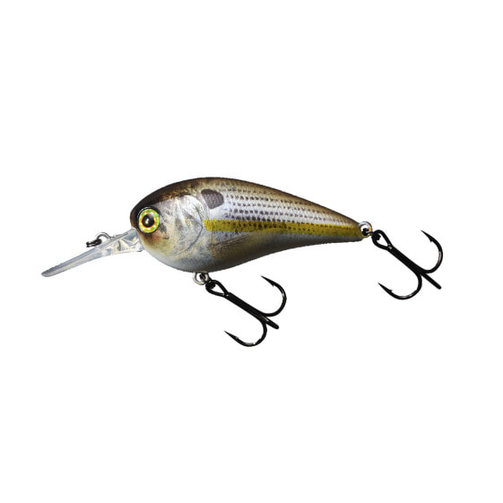 Jackall MC 60 SR Crankbaits (JMC60SR-RTCS) Fishing