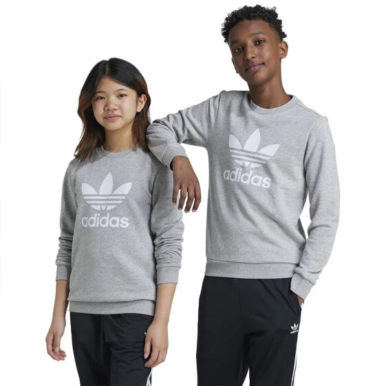 ADIDAS ORIGINALS Trefoil Crew sweatshirt