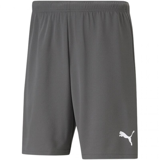 Шорты спортивные PUMA teamRISE Short M 704942 13