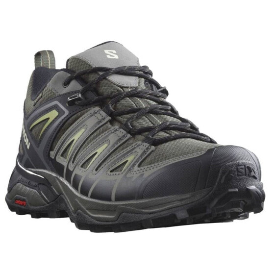 Salomon X Ultra Pioneer Gtx