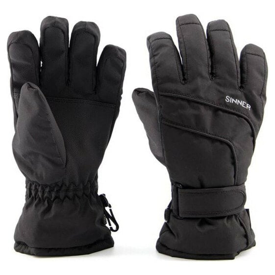 Перчатки для снега Sinner Mesa Чёрный