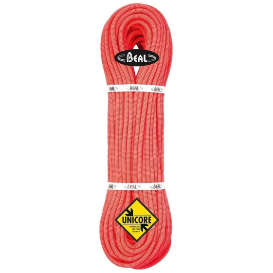 BEAL Joker Dry Cover 9.1 mm Rope