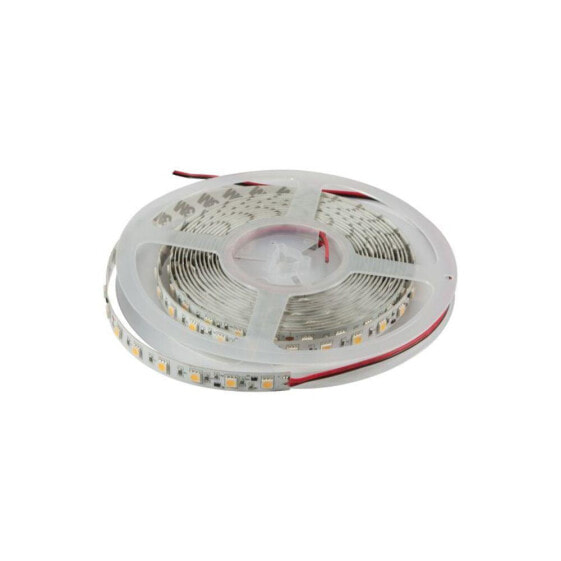 Synergy 21 S21-LED-F00066 - Universal strip light - Indoor/outdoor - Ambience - Adhesive tape - White - IP20