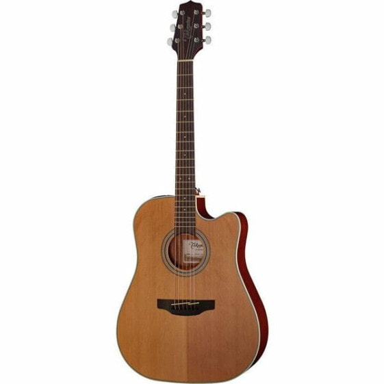 Takamine GD20CE-N