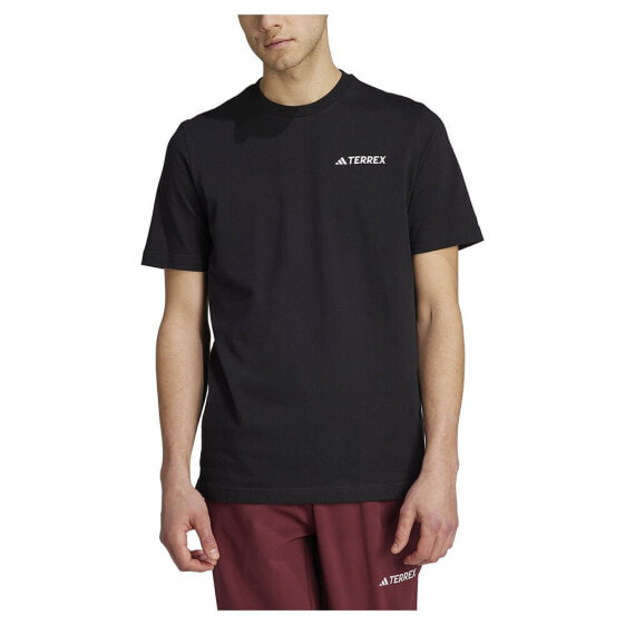 ADIDAS Terrex Graphic Mtn 2.0 short sleeve T-shirt