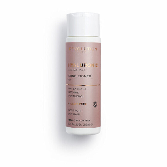 Hydrating Conditioner for dry and brittle hair Hyaluronic ( Hydrating Conditioner) 250 ml