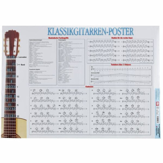 Гитара классическая Voggenreiter Poster Guitars
