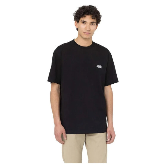 DICKIES Summerdale short sleeve T-shirt