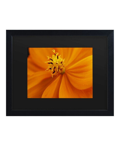 Kurt Shaffer Orange Flower Matted Framed Art - 15" x 20"