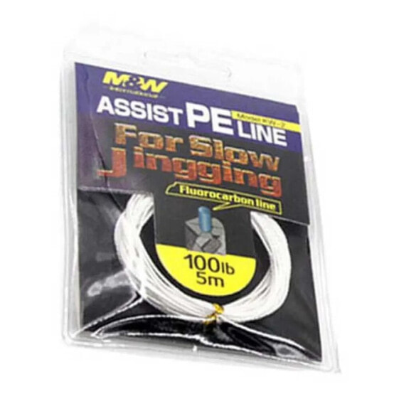 M&W INTERNATIONAL Assist PE KW-2 Braided Line