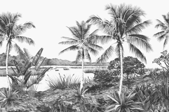 Fototapete tropische Landschaft mit Palm